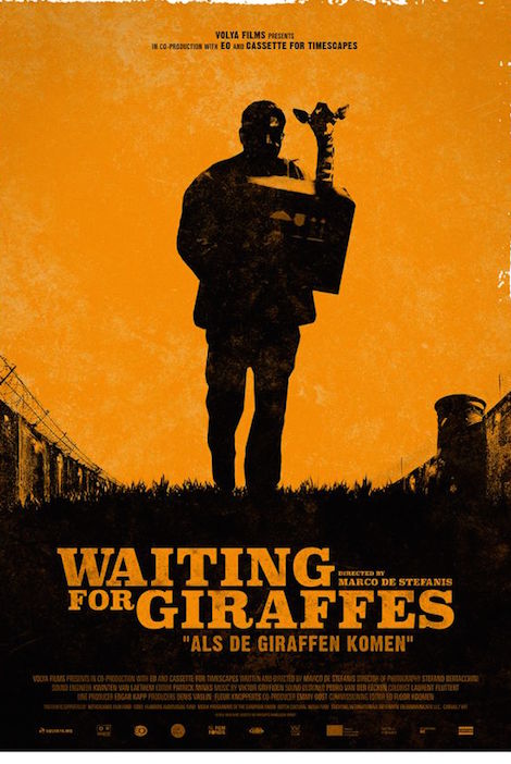 Waiting For Giraffes movie poster